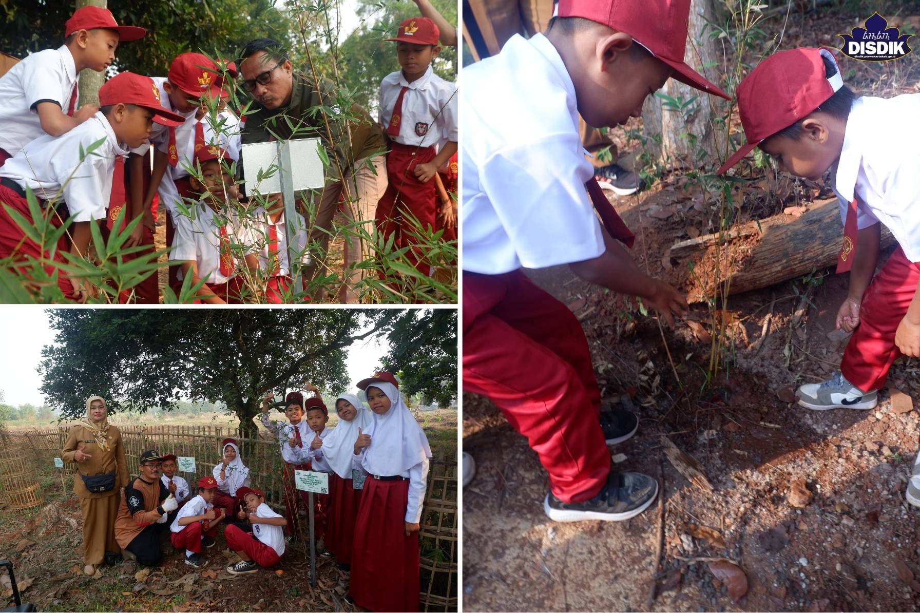 Antusias Peserta Didik dan Guru SDN 2 Cikopo Tanam Pohon Bambu di Kawasan Arboretum