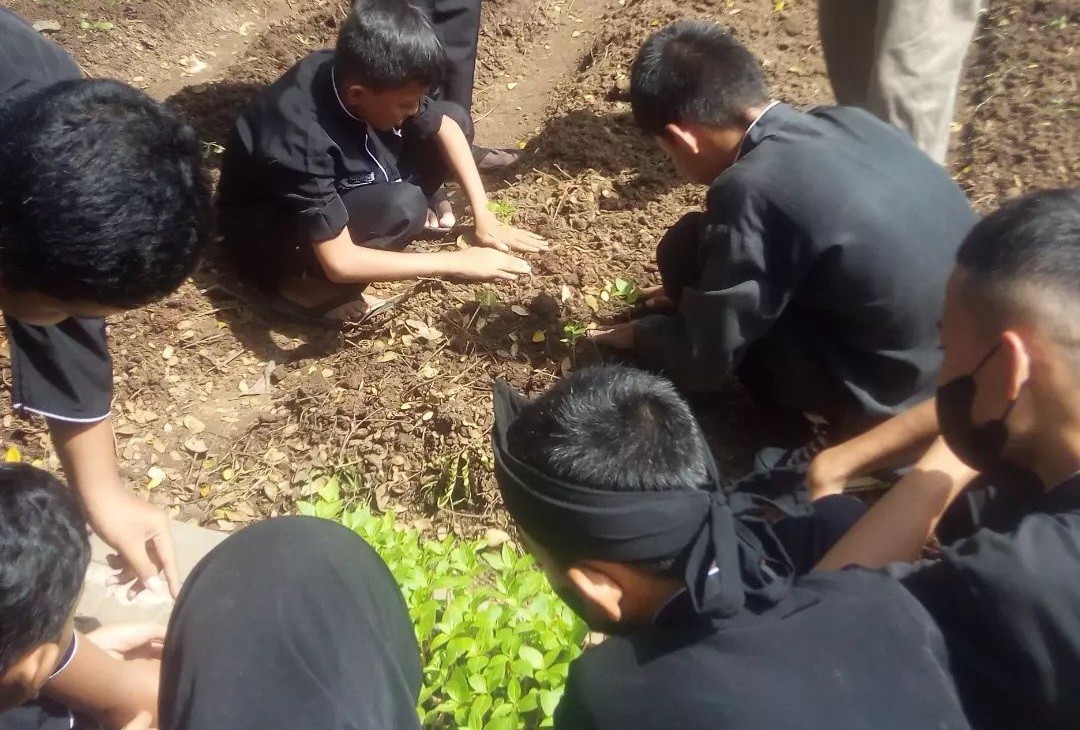 Siswa SMPN 7 Purwakarta Outing Class Ke PT EAST WEST SEED Indonesia : Belajar Urban Farming