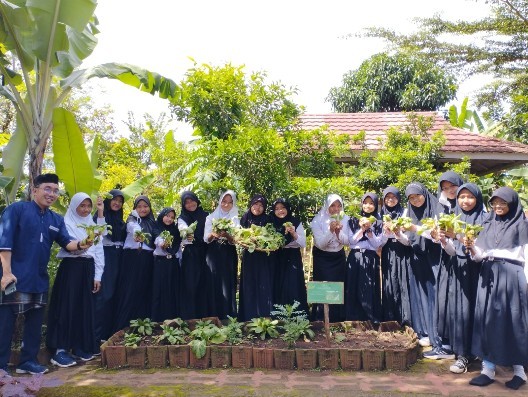 Praktek Mengolah Sayuran Pakcoy oleh Siswa Kelas 6 SDN Ciwangi 